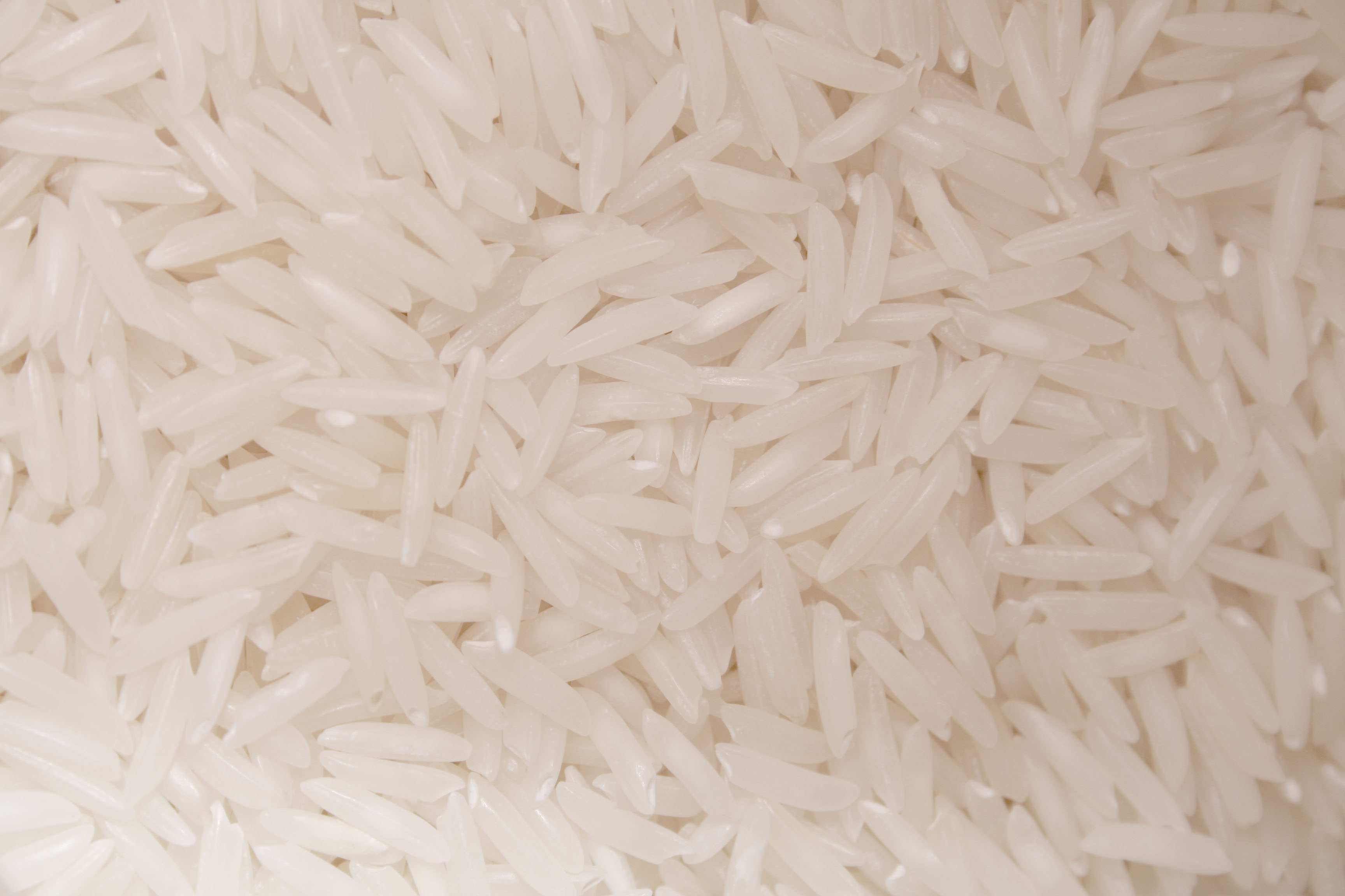 Thai Jasmine Rice
