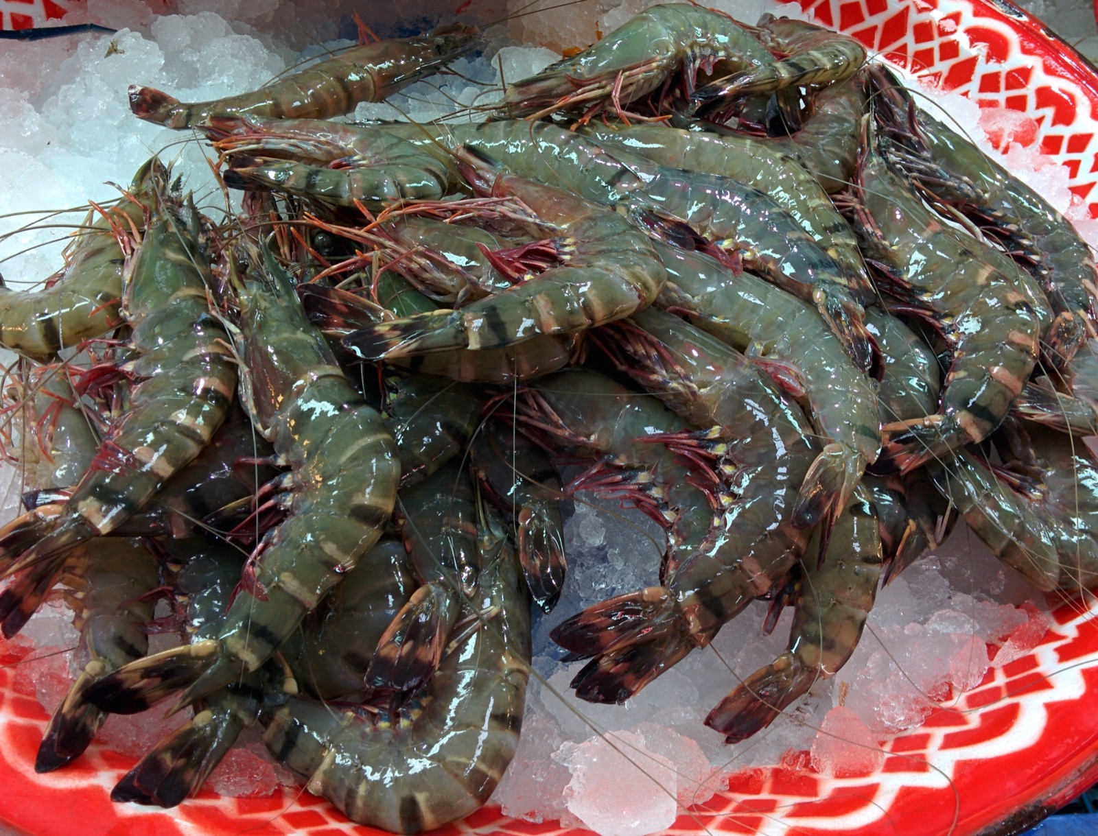 Organic Black Tiger Shrimp (Naturland/EU Organic Certified)