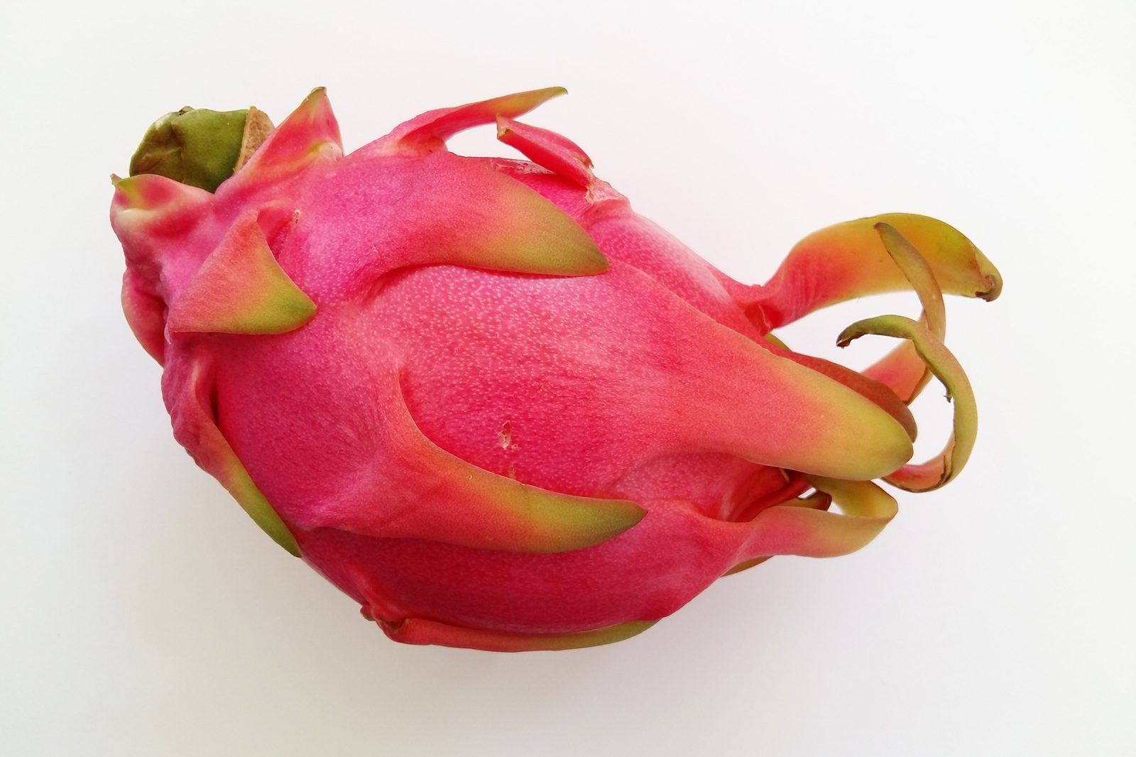Fresh Dragon Fruit, Red & White Flesh