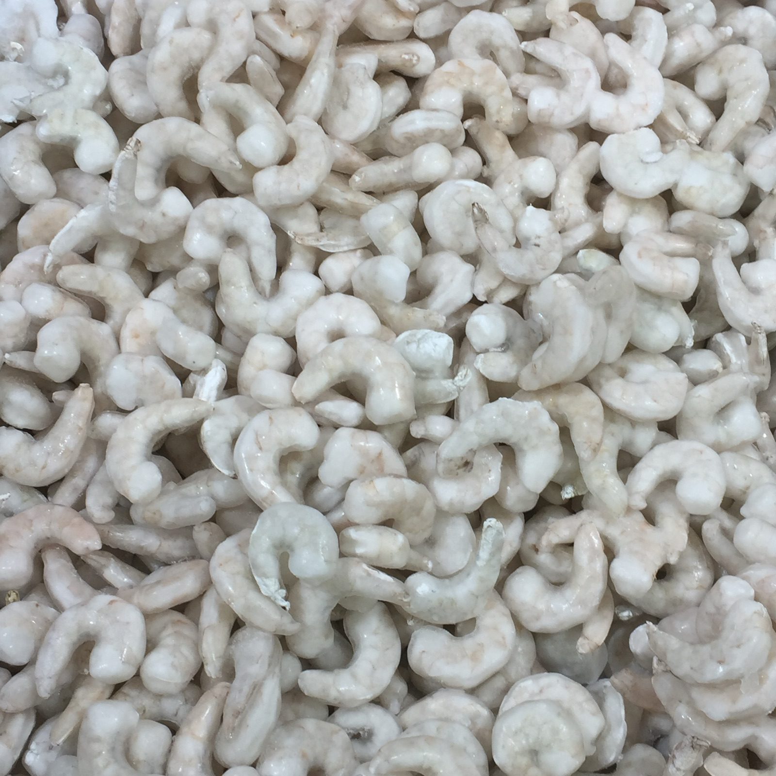 Frozen shrimp