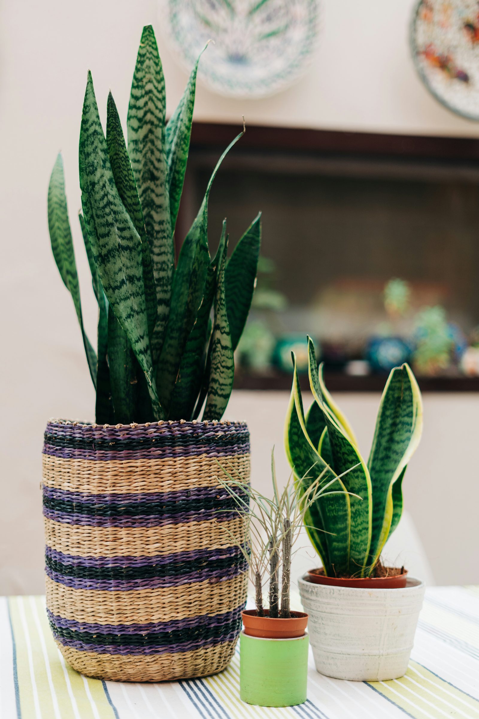 Rattan Woven Planter Basket