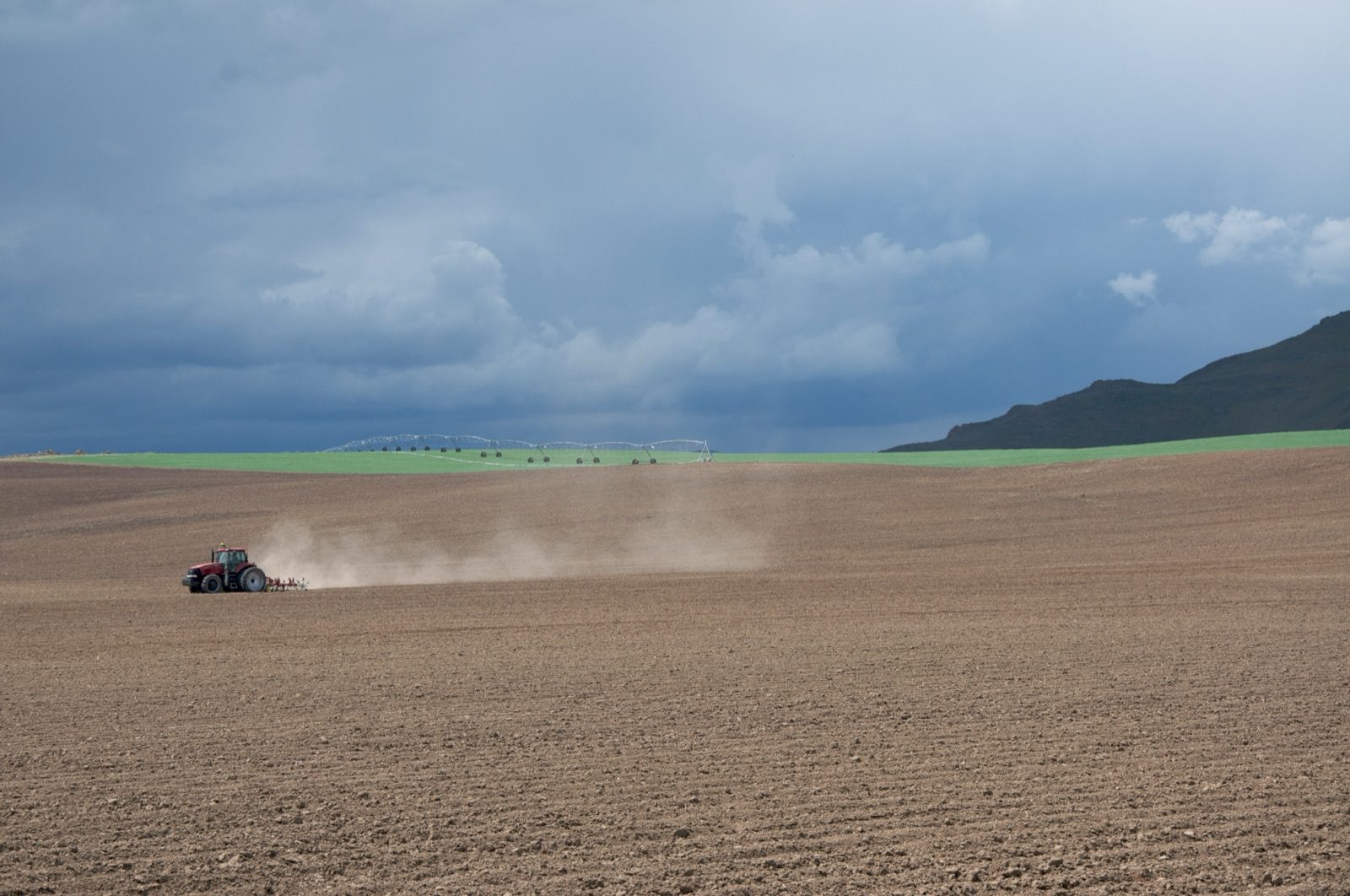 HOGICO Tracked Agricultural Tractor