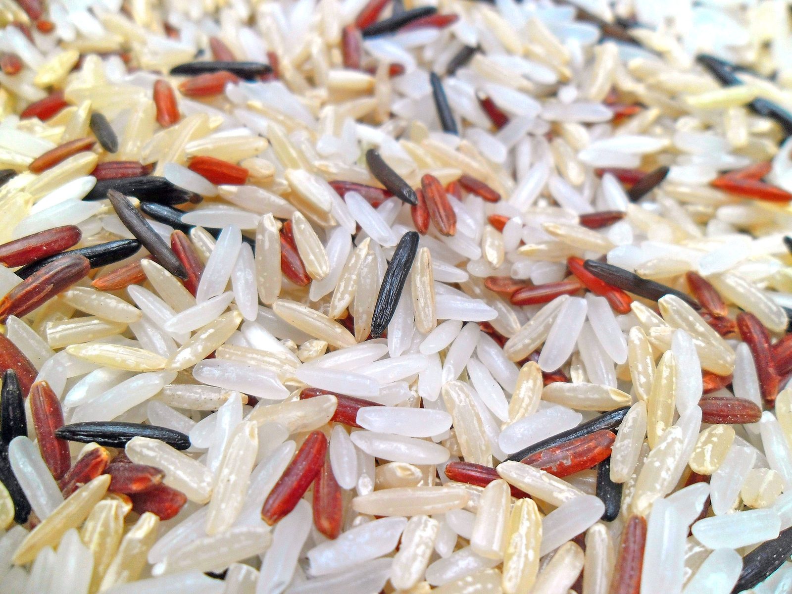 Thai Hom Mali Jasmine Rice 100% Grade A