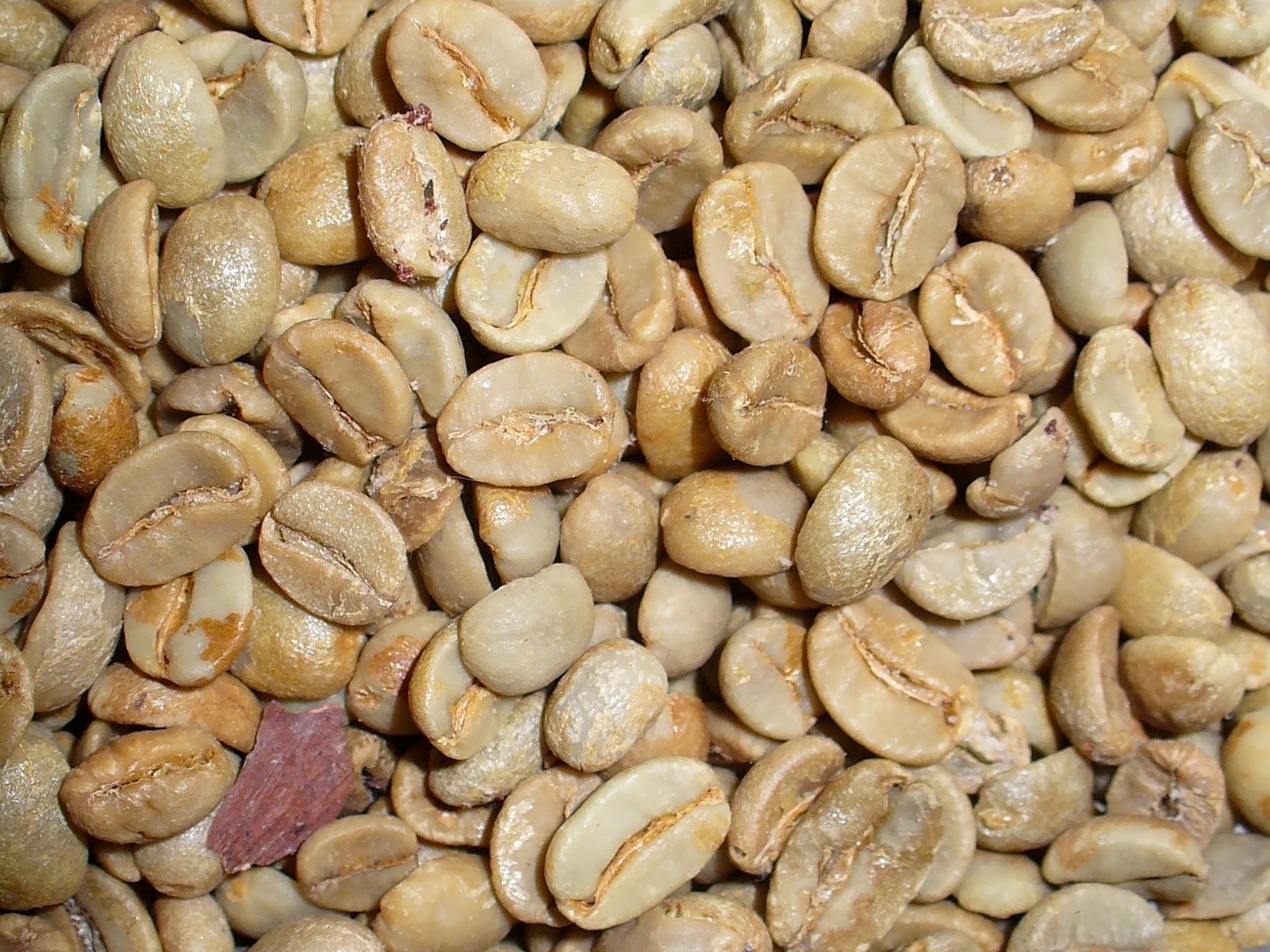 Bolaven Plateau Arabica Green Beans