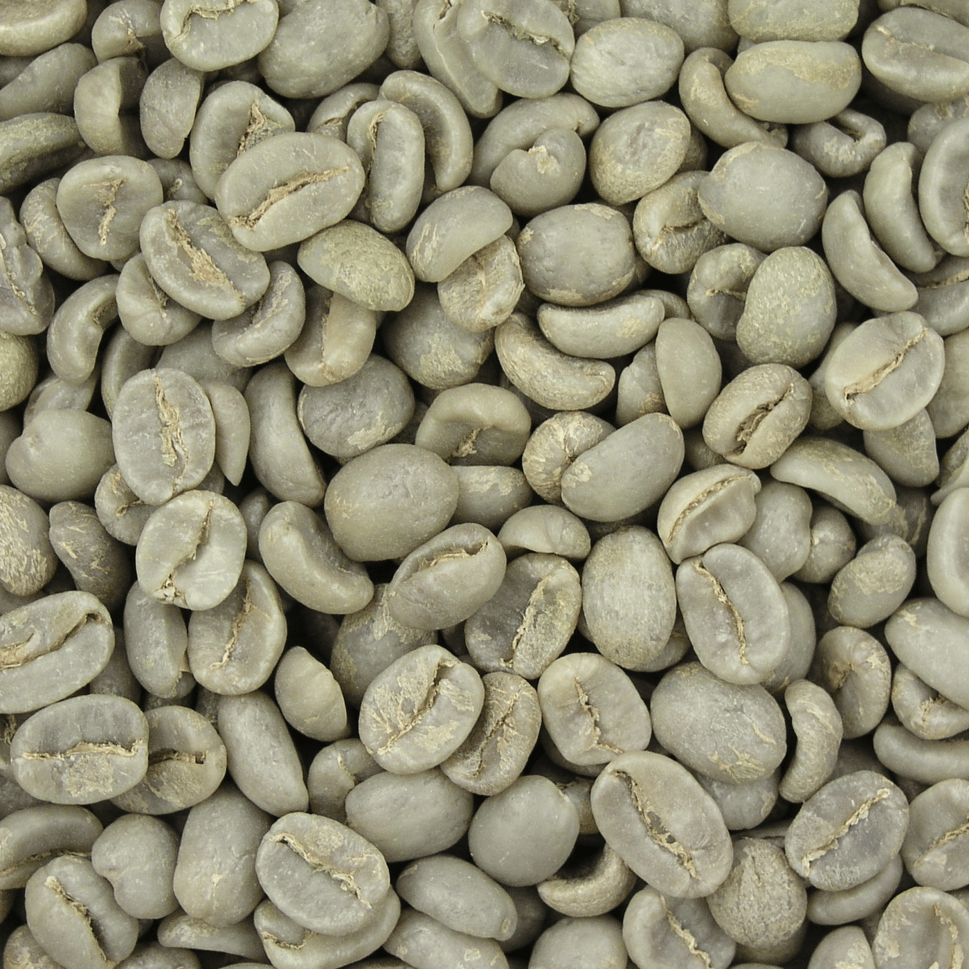 Robusta Lampung Coffee Beans EK-1