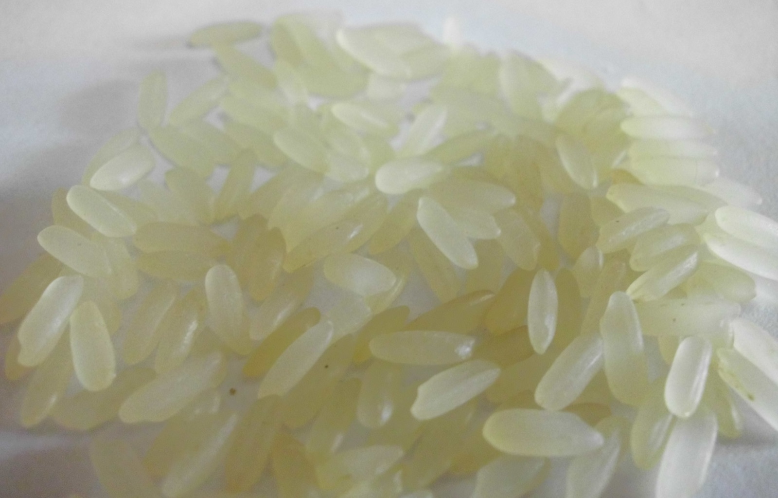 Royal Mongkut Jasmine Rice