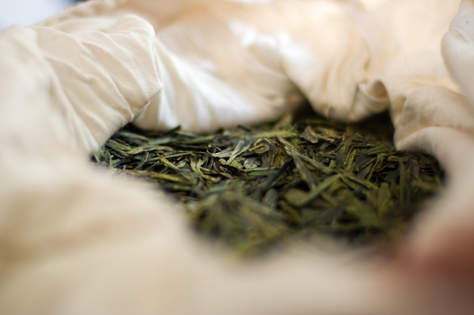 Tân Cương Green Tea, Hand-Picked One Bud Two Leaves