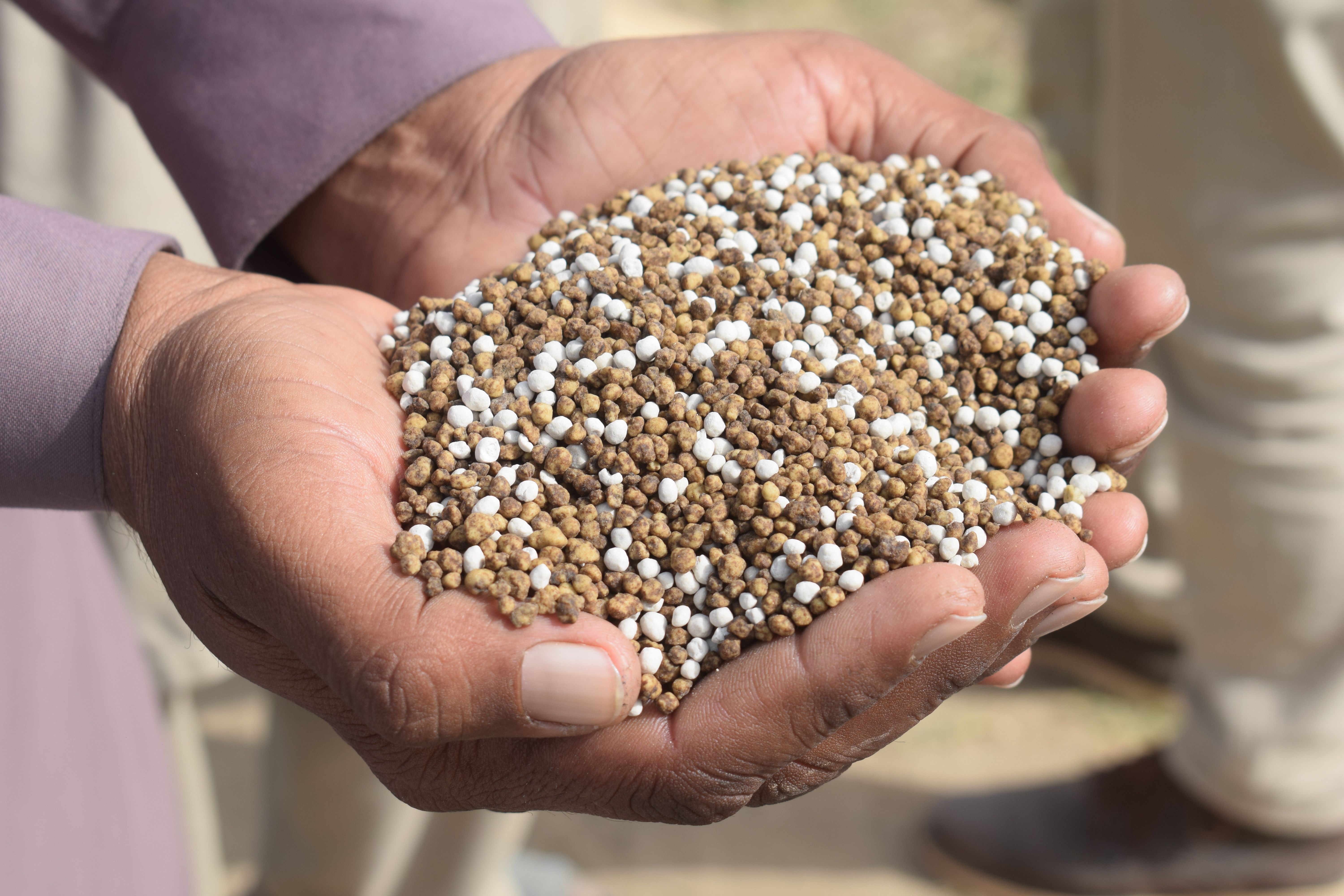 NPK Compound Fertilizer