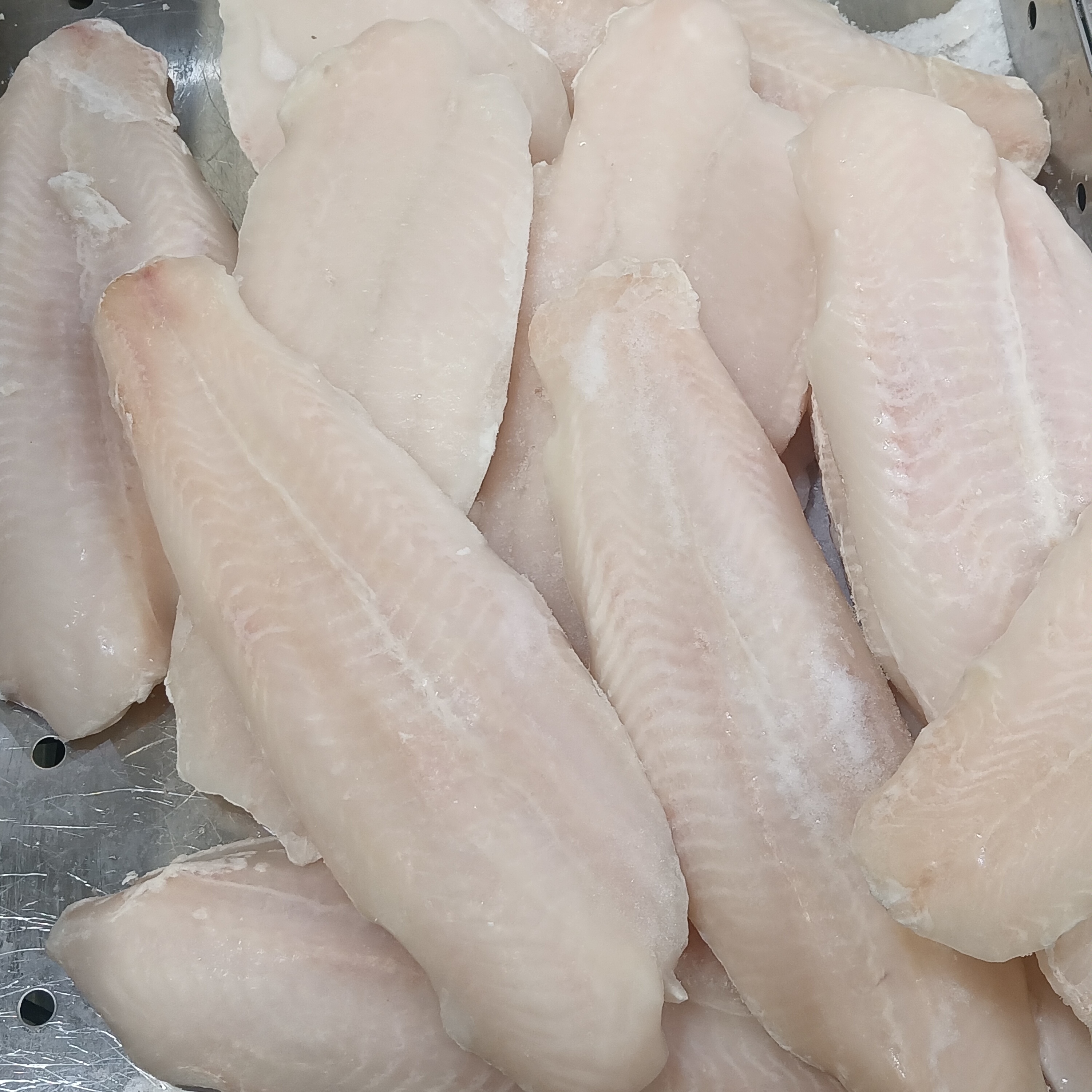 Frozen Pangasius Fillet, IQF