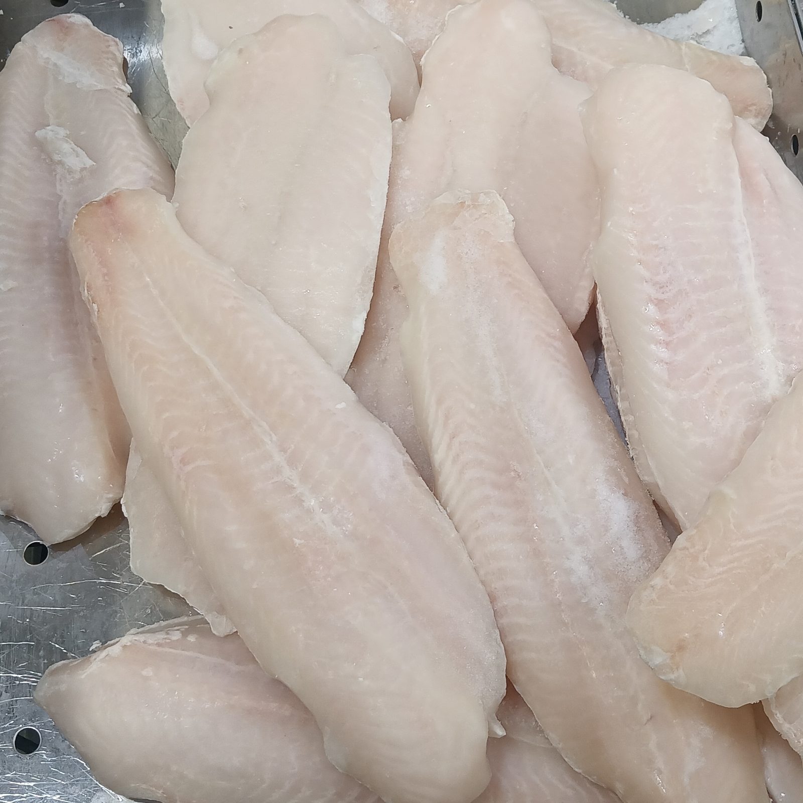 Frozen Pangasius Fillet, IQF