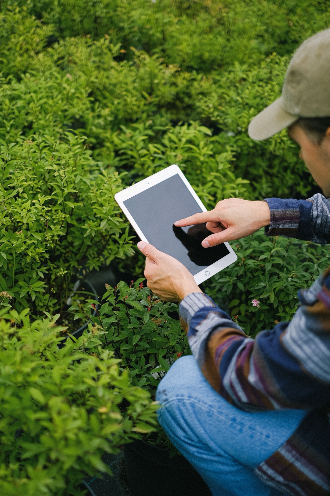 Farm IoT Monitoring & Advisory Service