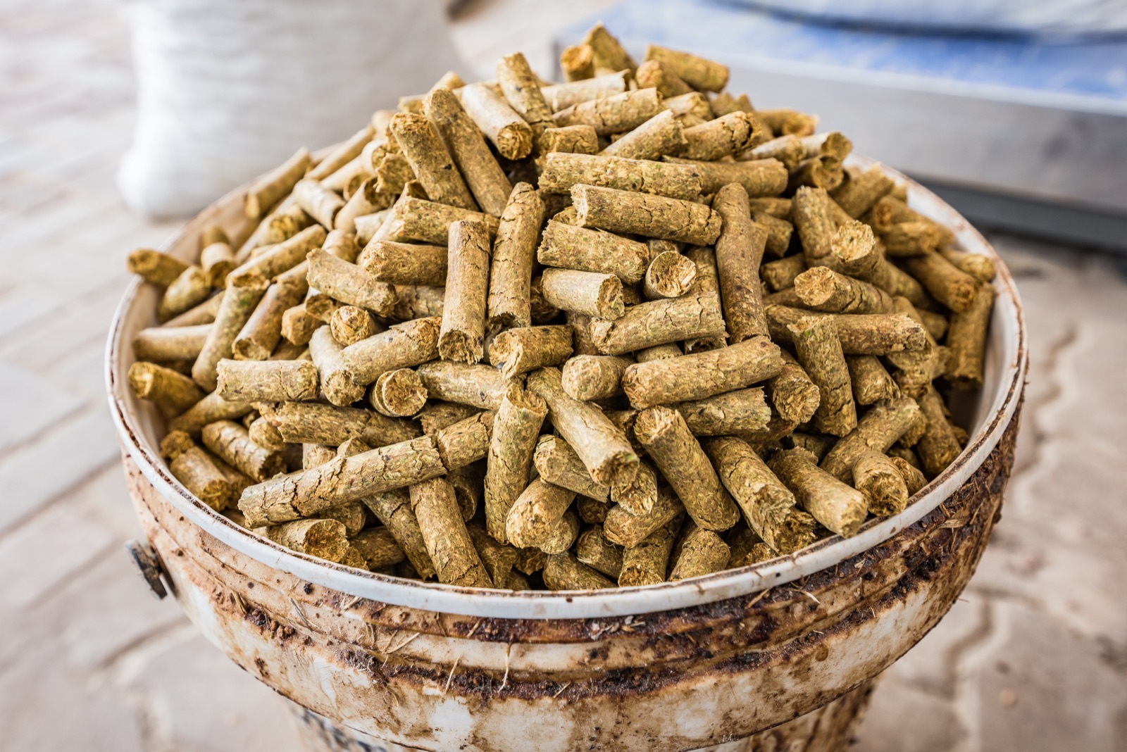 Poultry Feed Pellets