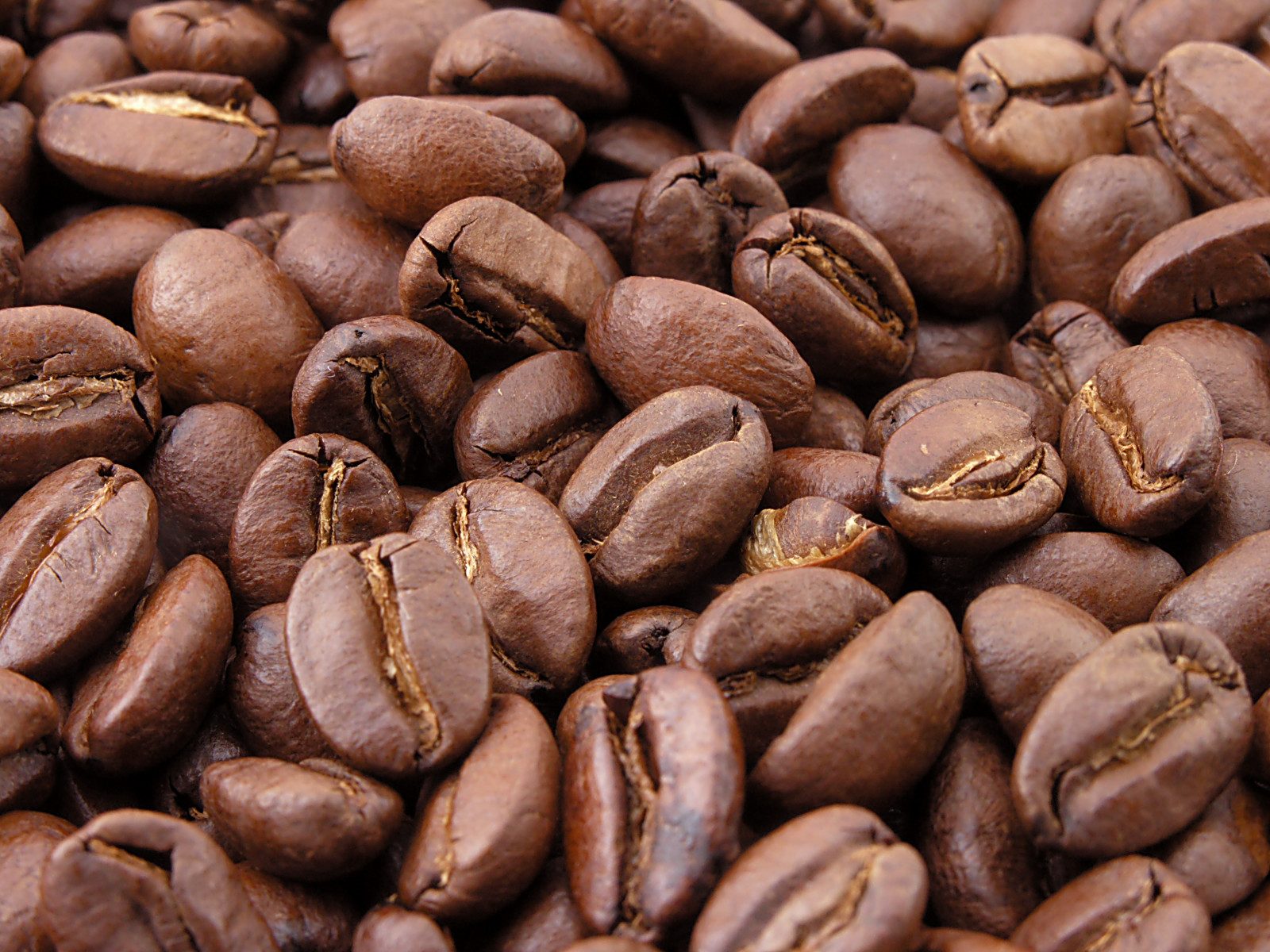 Washed Arabica Green Coffee