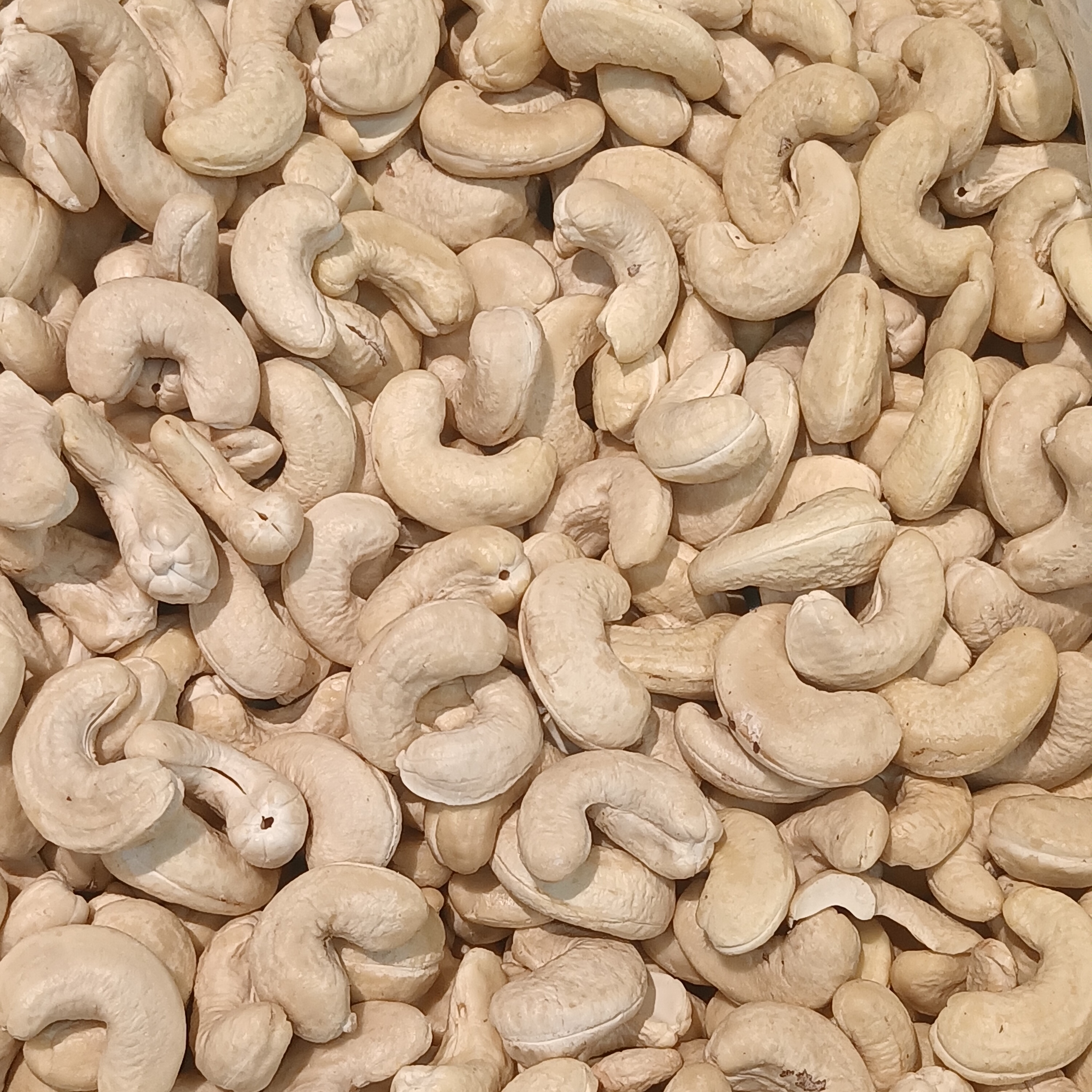 Raw Cashew Nut Kernels