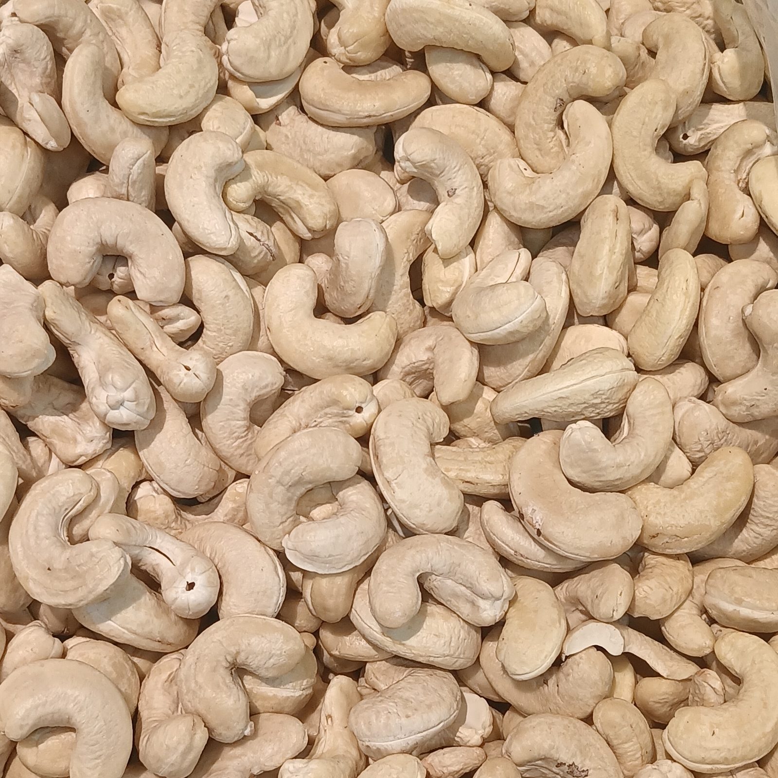 Raw Cashew Nut Kernels
