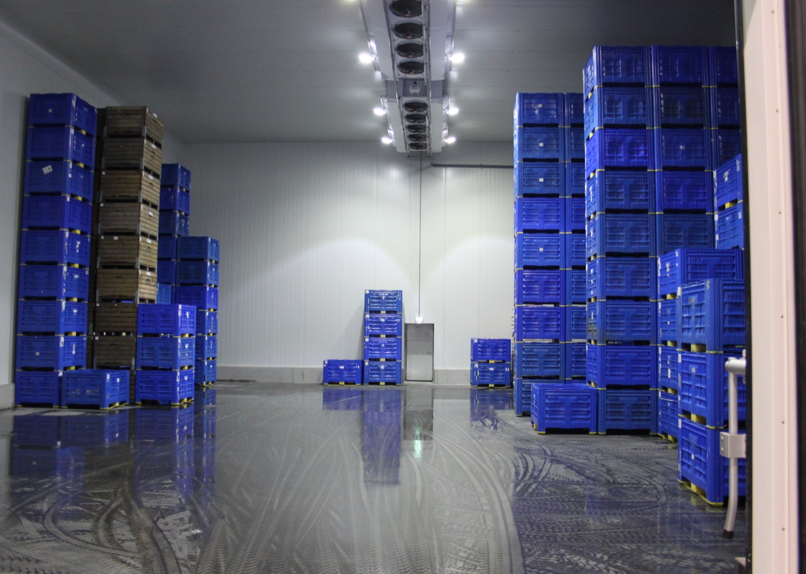 Cold Storage & Distribution Service