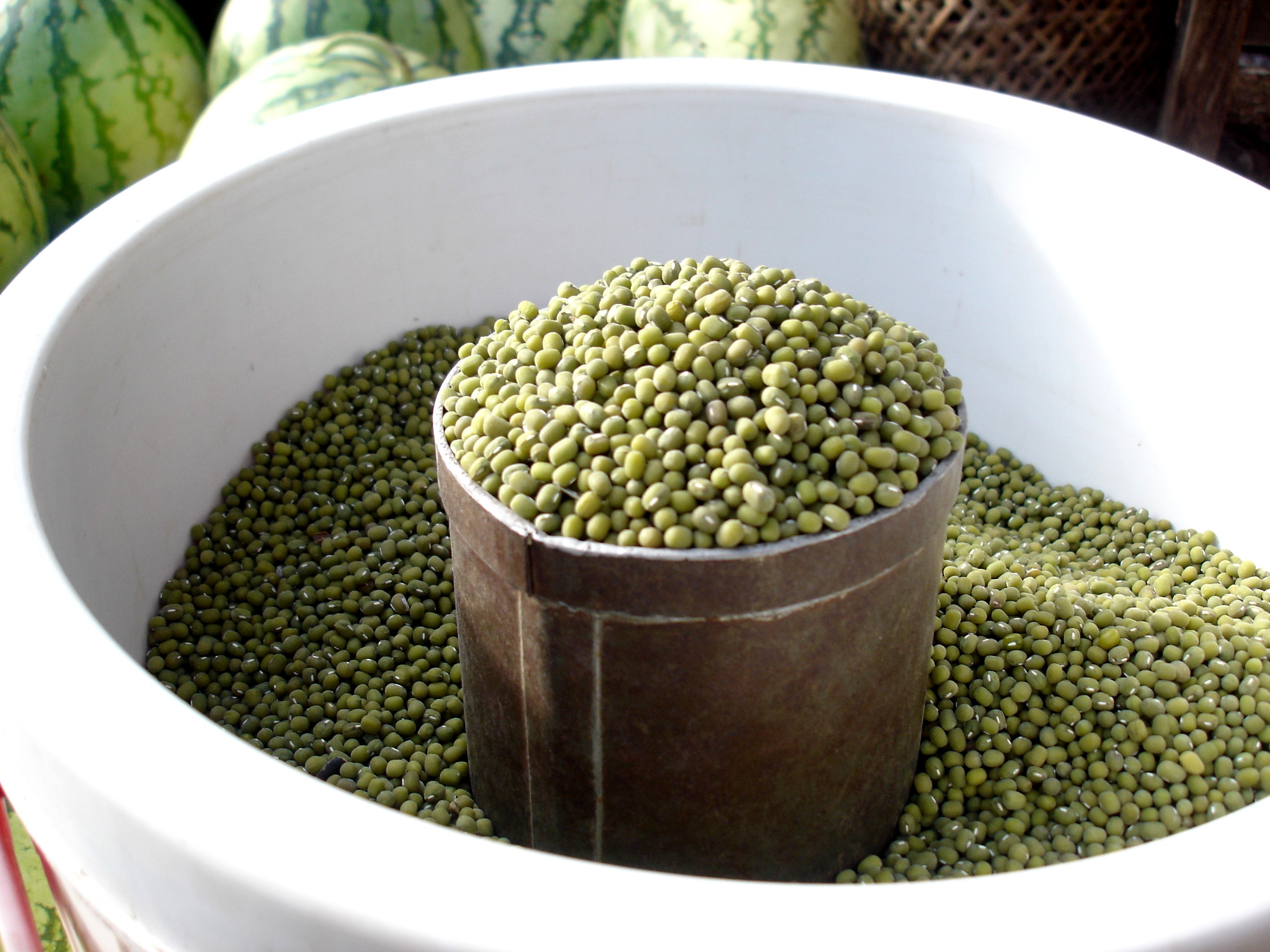 Pulses and Beans