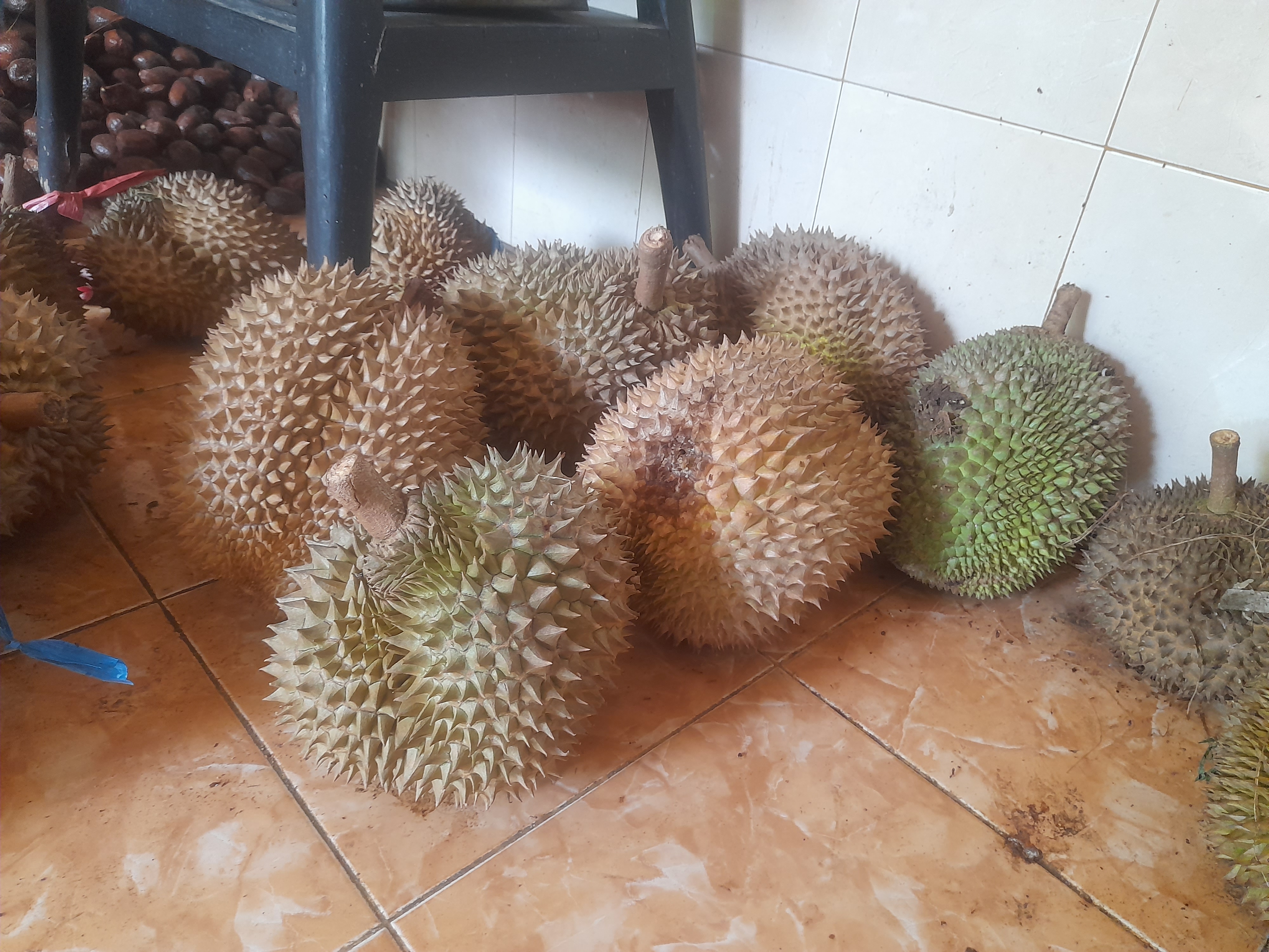 Frozen Whole Musang King Durian