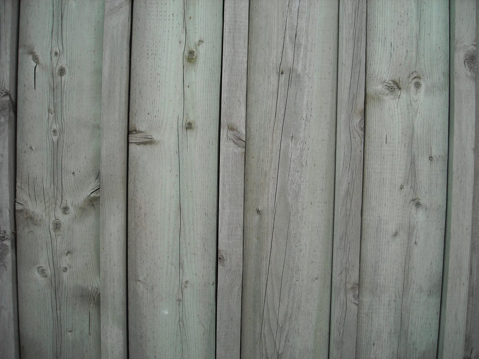 Engineered Wood Products (Plywood/LVL)