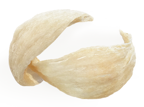 Premium Bird's Nest