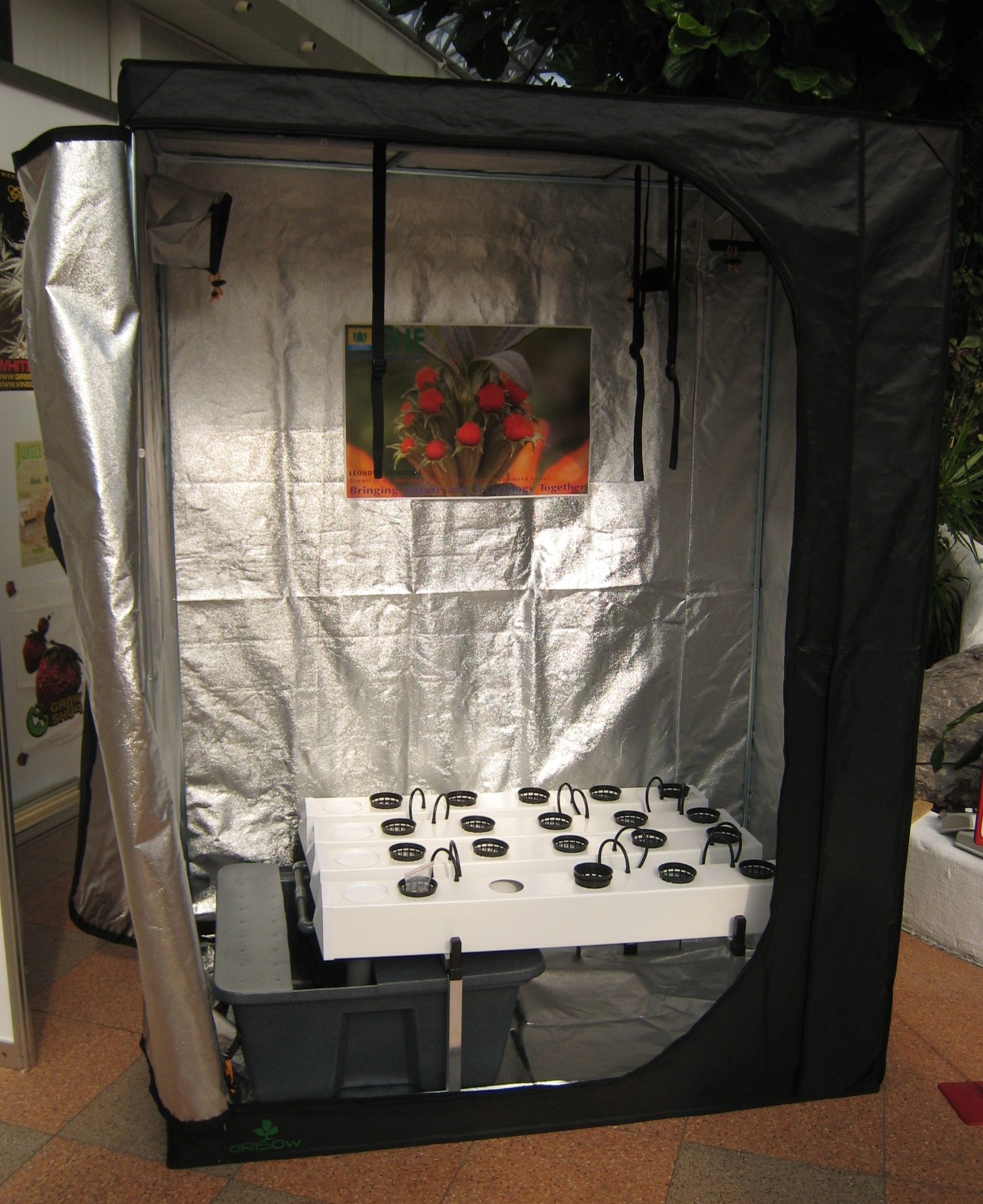 LED Grow Light for Hydroponics