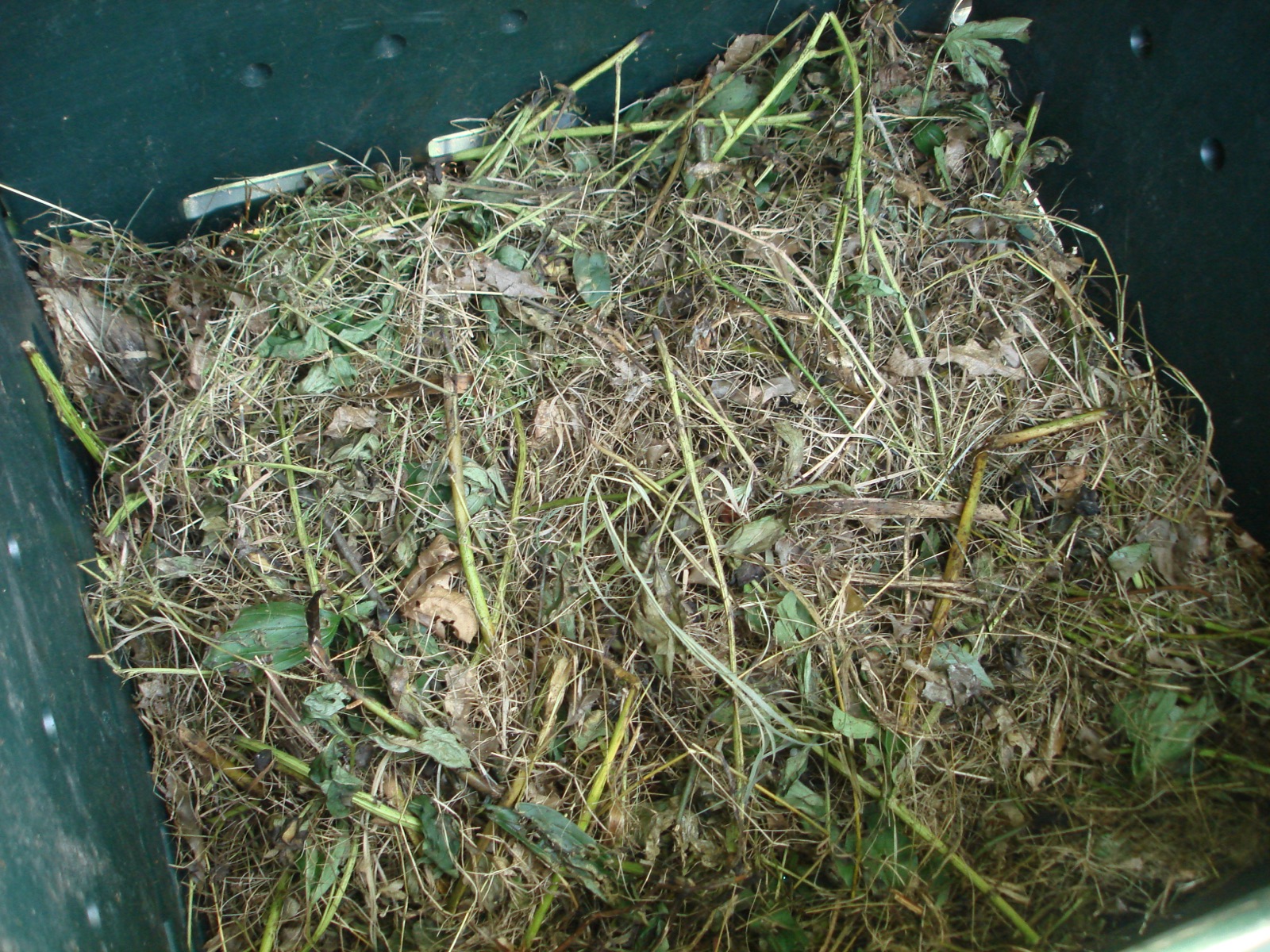 Organic Fertilizer (Palm Waste-Based)