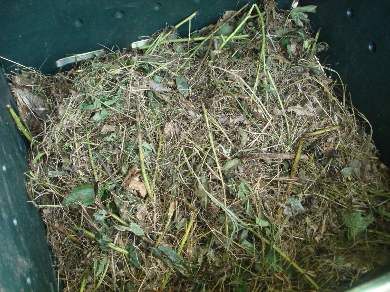 Organic Fertilizer (Palm Waste-Based)