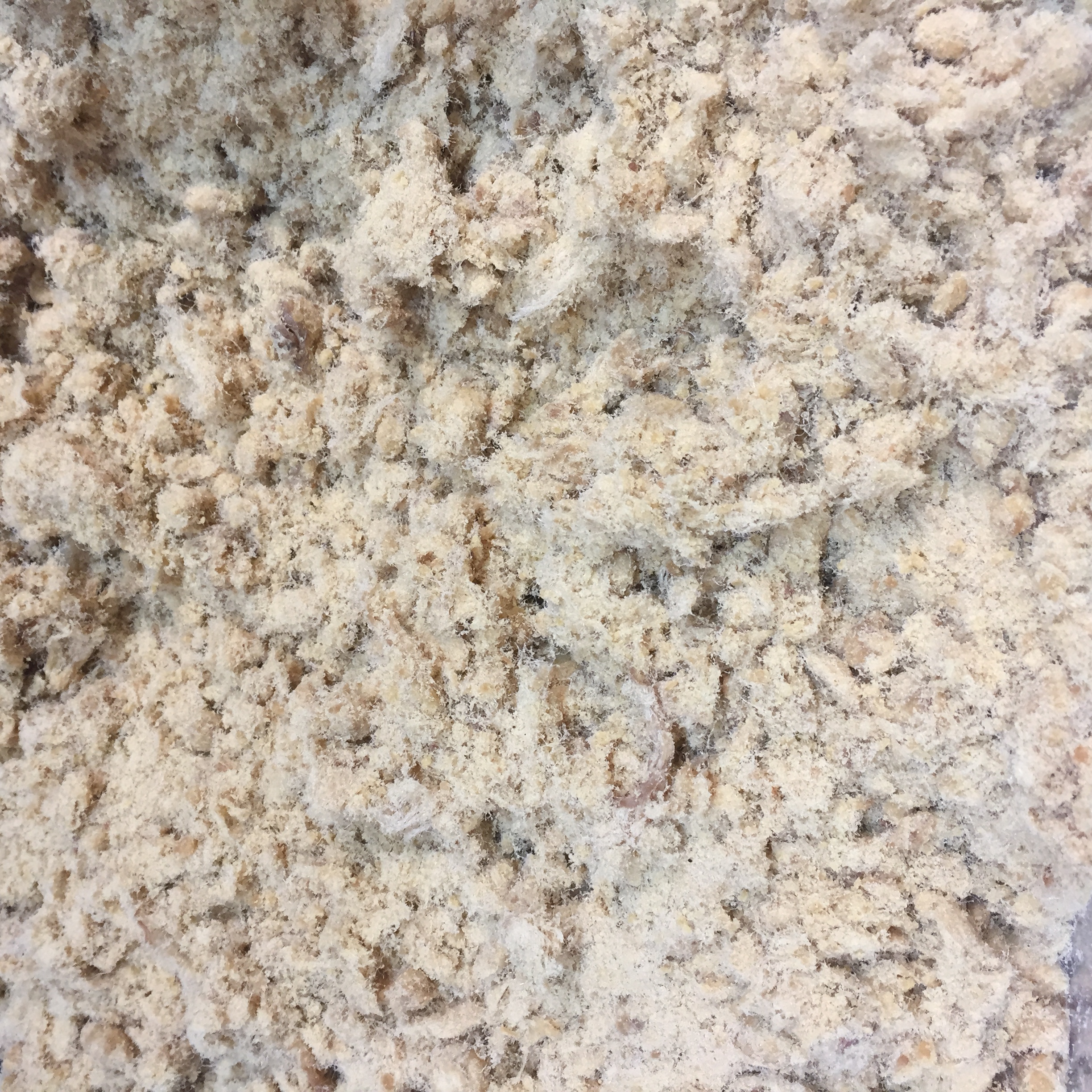 Halal Meat Floss (Serunding)